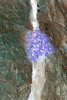 N 075